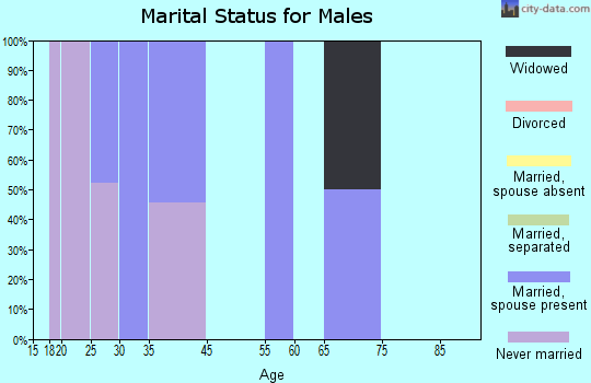 Rock Springs marital status for males