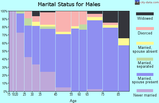 Ruidoso marital status for males