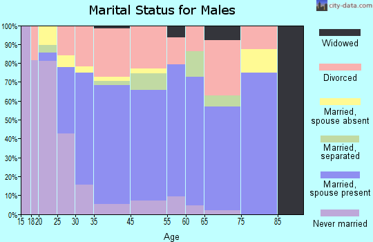 Ruidoso Downs marital status for males