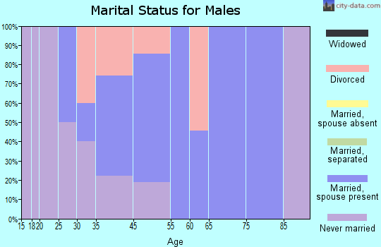 San Ildefonso Pueblo marital status for males