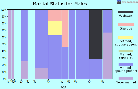 San Jon marital status for males