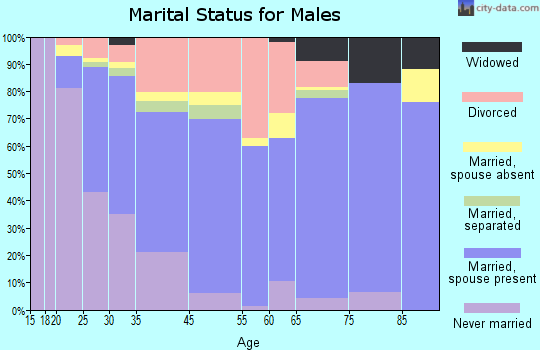 Silver City marital status for males