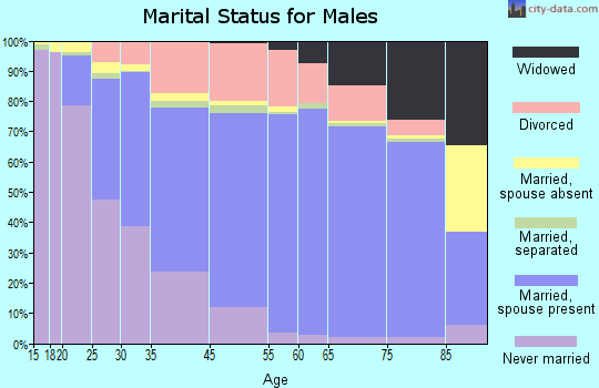 South Valley marital status for males