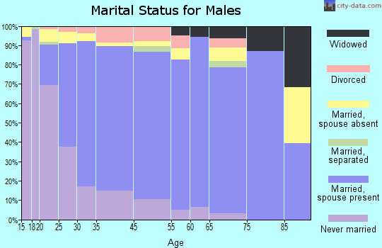 Sunland Park marital status for males