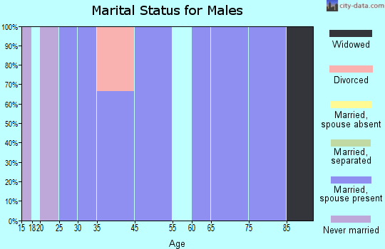 Virden marital status for males