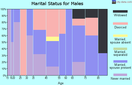 Wagon Mound marital status for males