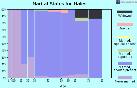 White Rock marital status for males