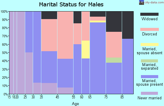 Williamsburg marital status for males