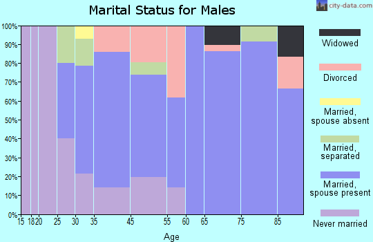 Afton marital status for males