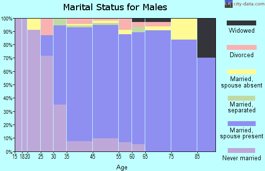 Airmont marital status for males