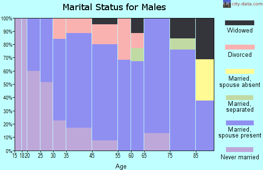 Akron marital status for males