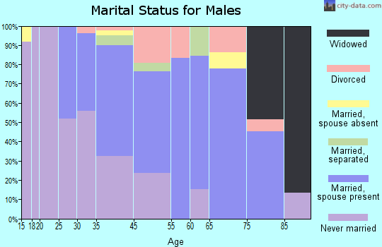 Alexandria Bay marital status for males