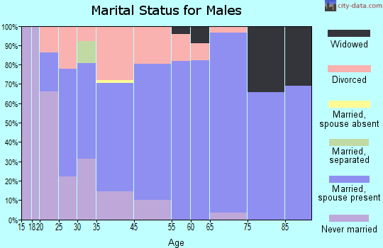 Parkers-Iron Springs marital status for males