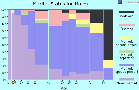 Amityville marital status for males