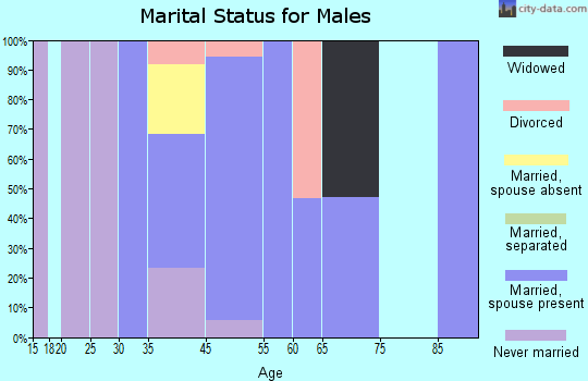 Apalachin marital status for males