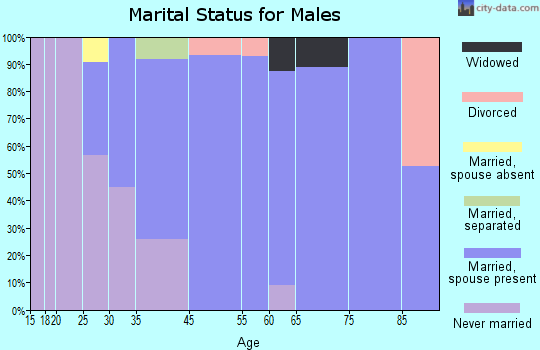 Aquebogue marital status for males