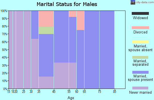 Argyle marital status for males