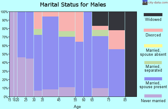 Au Sable Forks marital status for males