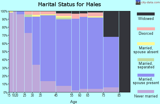 Baldwin Harbor marital status for males