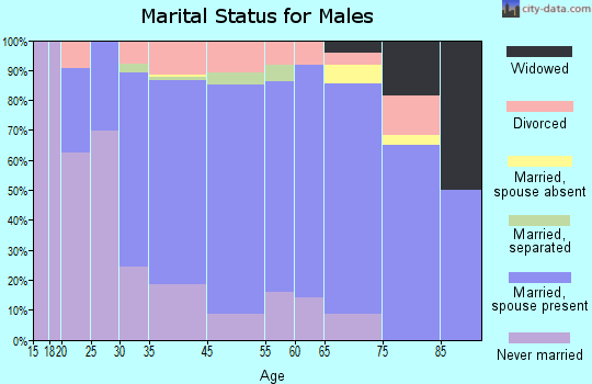 Baldwinsville marital status for males
