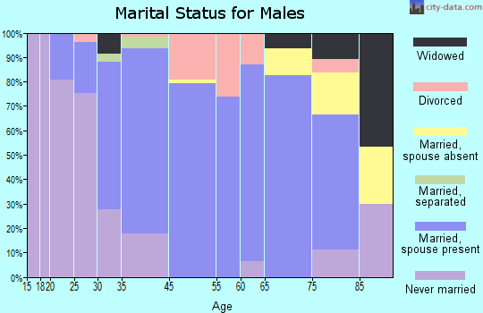 Ballston Spa marital status for males