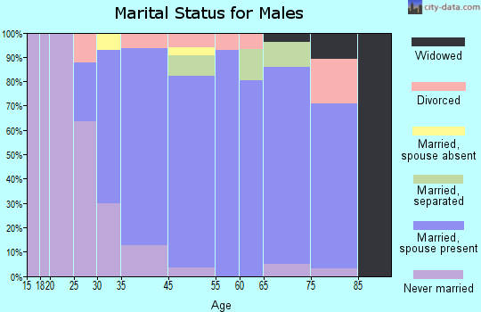 Balmville marital status for males