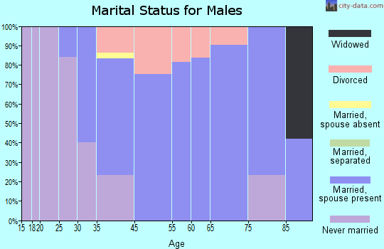 Bay Park marital status for males