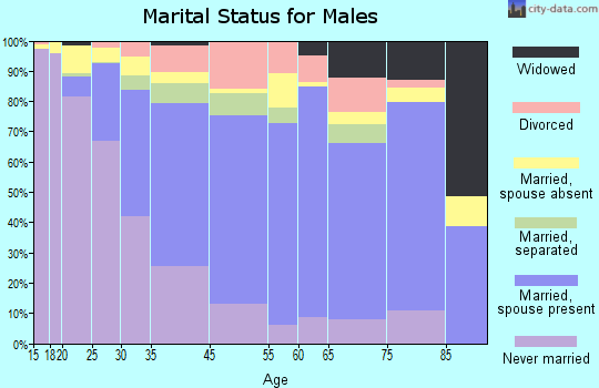 Bay Shore marital status for males