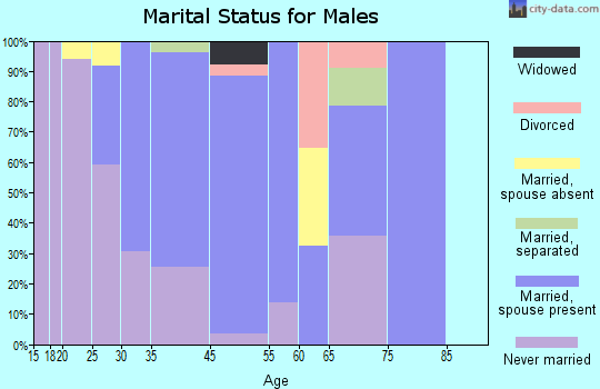 Bellerose Terrace marital status for males