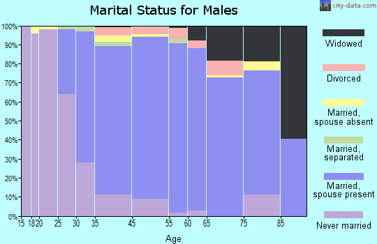 Bellmore marital status for males