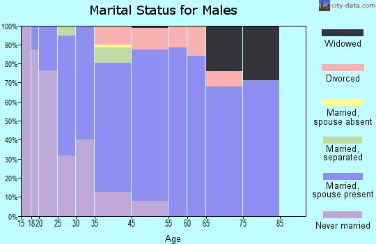 Bergen marital status for males