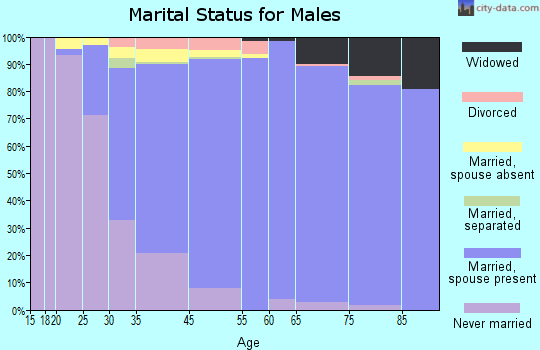 Bethpage marital status for males
