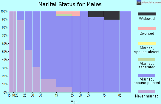 Big Flats marital status for males