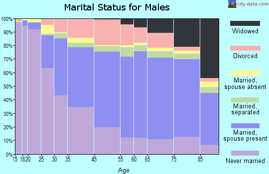 Binghamton marital status for males