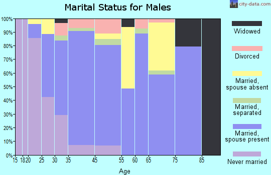 Bloomfield marital status for males