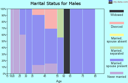 Bloomingburg marital status for males