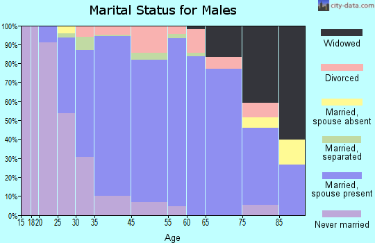 Bohemia marital status for males