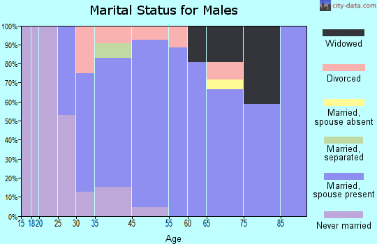 Brasher Falls-Winthrop marital status for males
