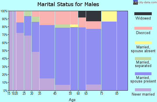 Brewerton marital status for males