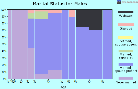 Brewster Hill marital status for males