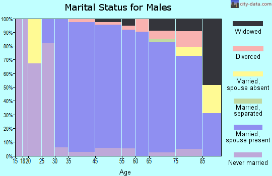 Briarcliff Manor marital status for males