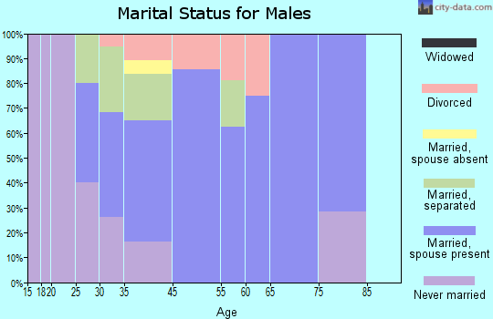 Bridgewater marital status for males
