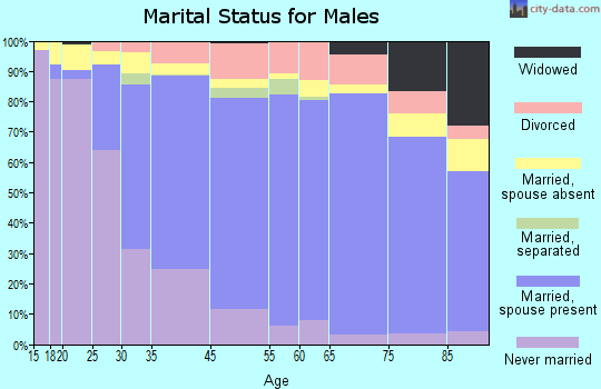 Brighton marital status for males