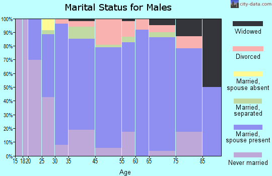 Brocton marital status for males