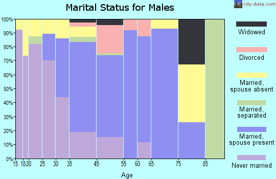 Brookhaven marital status for males