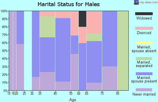 Cairo marital status for males