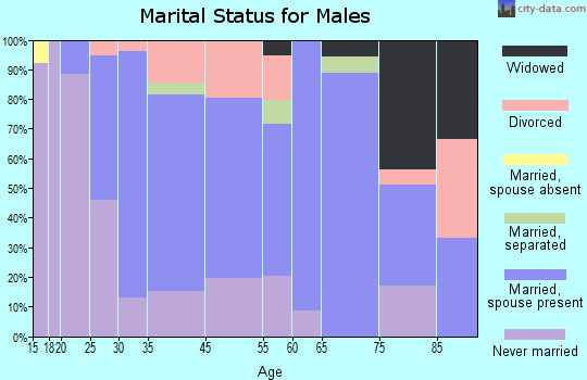 Castleton-on-Hudson marital status for males