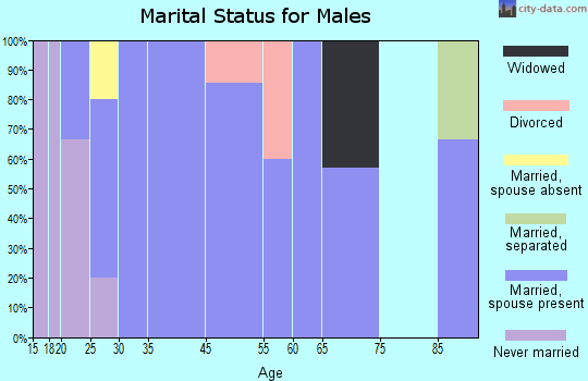 Pineville marital status for males