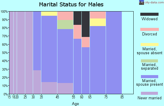 Centre Island marital status for males