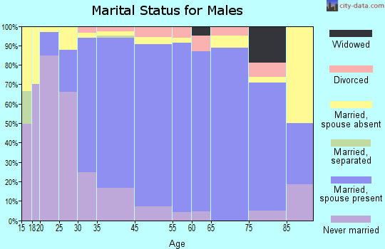 Chestnut Ridge marital status for males